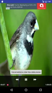 Canto Coleiro Tui Tui screenshot 0