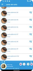 Canto Del Mirlo screenshot 1