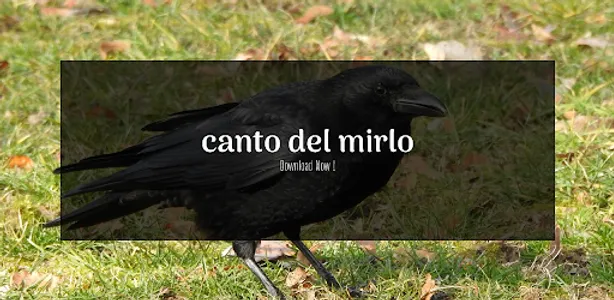 Canto Del Mirlo screenshot 3