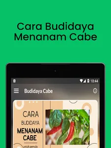 Cara Budidaya Menanam Cabe screenshot 12