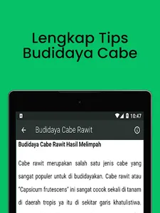 Cara Budidaya Menanam Cabe screenshot 16