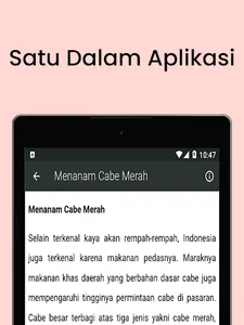 Cara Budidaya Menanam Cabe screenshot 17