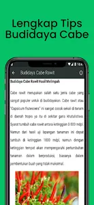 Cara Budidaya Menanam Cabe screenshot 4