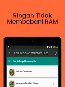 Cara Budidaya Menanam Cabe screenshot 8
