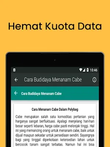 Cara Budidaya Menanam Cabe screenshot 9