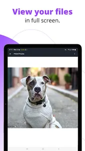 Carbonite Mobile screenshot 13