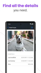 Carbonite Mobile screenshot 4