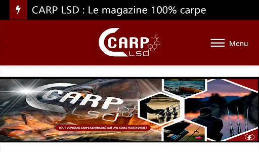 CARP LSD 100% CARPE screenshot 5