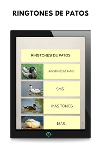 ringtones de patos, tonos y so screenshot 4