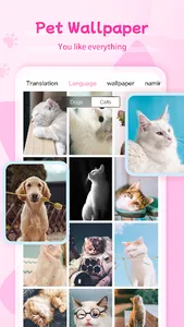 Cat Meow Translator screenshot 4