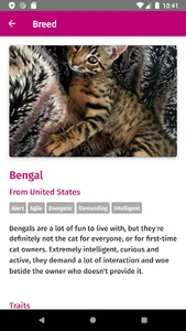 All cat breeds screenshot 1