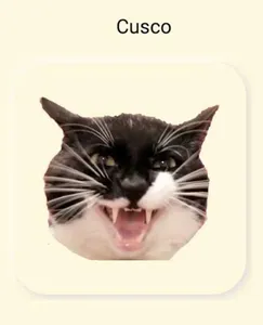 Cat Sounds screenshot 2