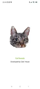 Cat Sounds screenshot 4