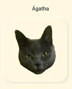 Cat Sounds screenshot 6