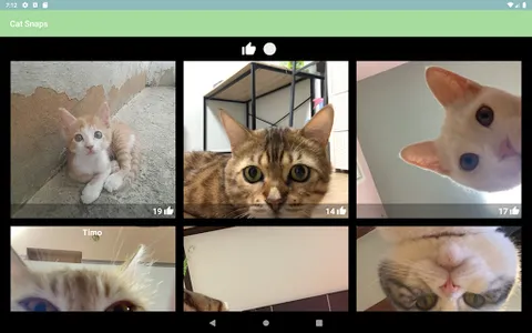 Cat Snaps - Photo Selfies for  screenshot 8