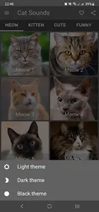 Cat Sounds - Meow Noises screenshot 11