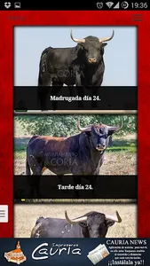 Bull Finder screenshot 2