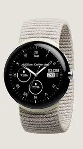 Black & White 2 Classic Analog screenshot 0