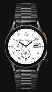 Black & White 2 Classic Analog screenshot 2