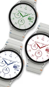 Black & White 2 Classic Analog screenshot 5