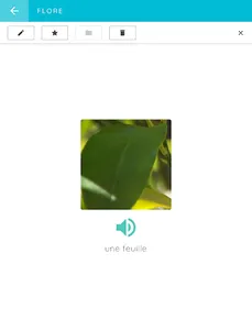 Leximage screenshot 6