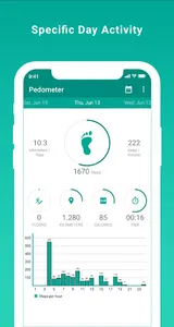 Pedometer screenshot 2