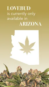 Lovebud screenshot 2