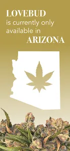 Lovebud screenshot 6
