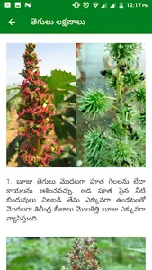 Gray Mold Castor బూజు తెగులు screenshot 2