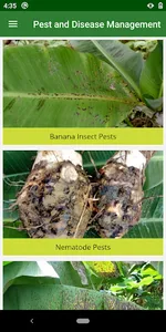 Banana Pest and Disease Manage screenshot 2