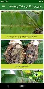 Banana Pest and Disease Manage screenshot 1