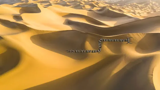 Shai-Hulud screenshot 2