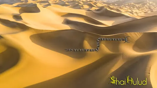 Shai-Hulud screenshot 3