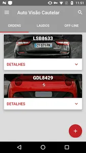 Auto Visão Cautelar screenshot 1