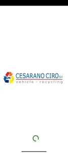 Cesarano Ricambi screenshot 7