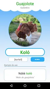 MixtecoApp screenshot 3