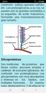 Curso Fisiopatologia screenshot 2