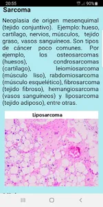 Curso Fisiopatologia screenshot 4