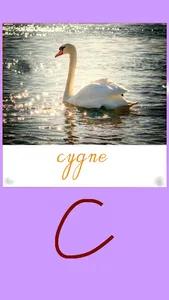 writing's boat screenshot 1