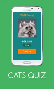 CATS QUIZ screenshot 1