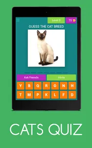 CATS QUIZ screenshot 10