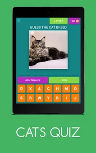 CATS QUIZ screenshot 16