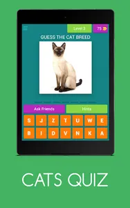 CATS QUIZ screenshot 17