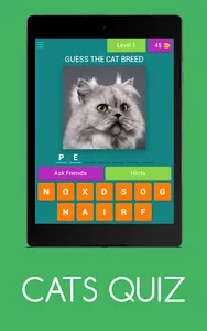 CATS QUIZ screenshot 7