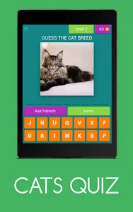 CATS QUIZ screenshot 9