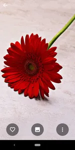 10000 Nature HD Wallpapers screenshot 3