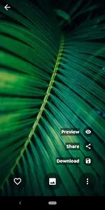 10000 Nature HD Wallpapers screenshot 4