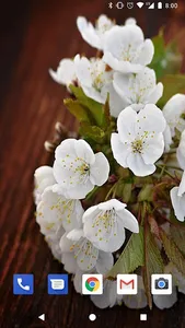 Cherry Blossom Live Wallpapers screenshot 1