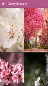 Cherry Blossom Live Wallpapers screenshot 12