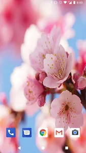 Cherry Blossom Live Wallpapers screenshot 3